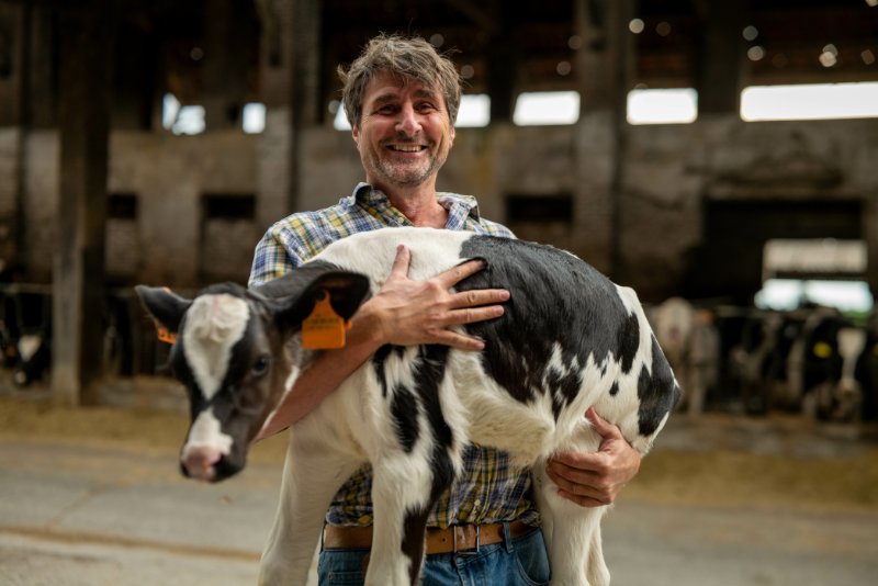 A farmer holding a calf