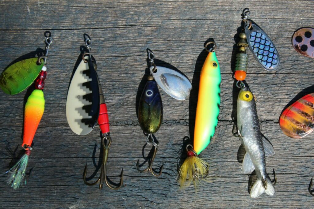 Cut bait prepared for cat fishing, emphasizing its effectiveness in attracting larger fish.
