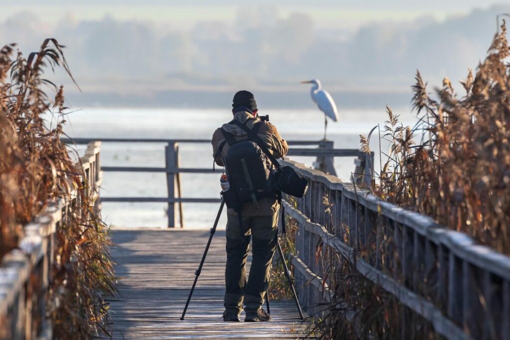 Male Bird Photographer