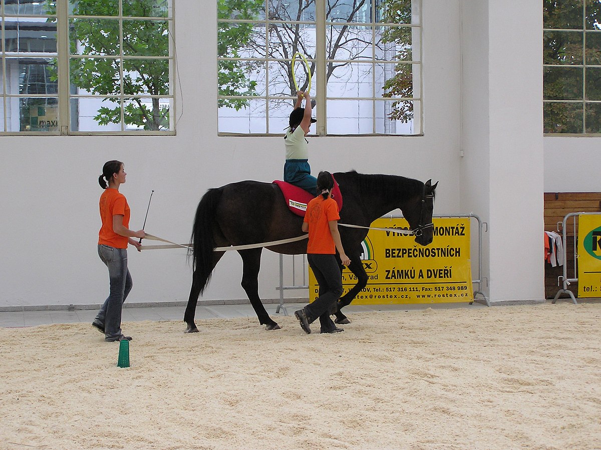 A demonstration of hippotherapy in Europe
