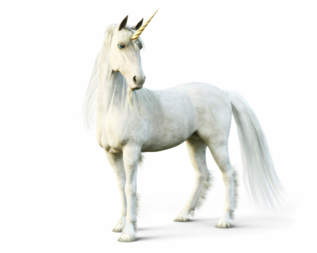Majestic unicorn posing on a white isolated background