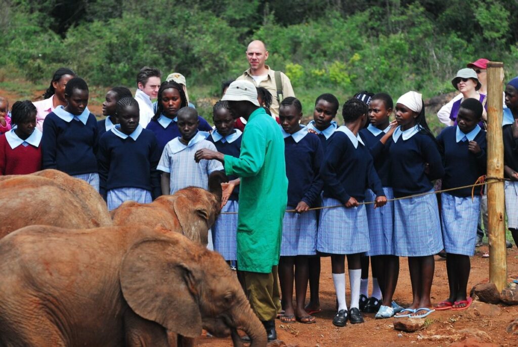 Students watching a wildlife conservation volunteer feeds the elephants