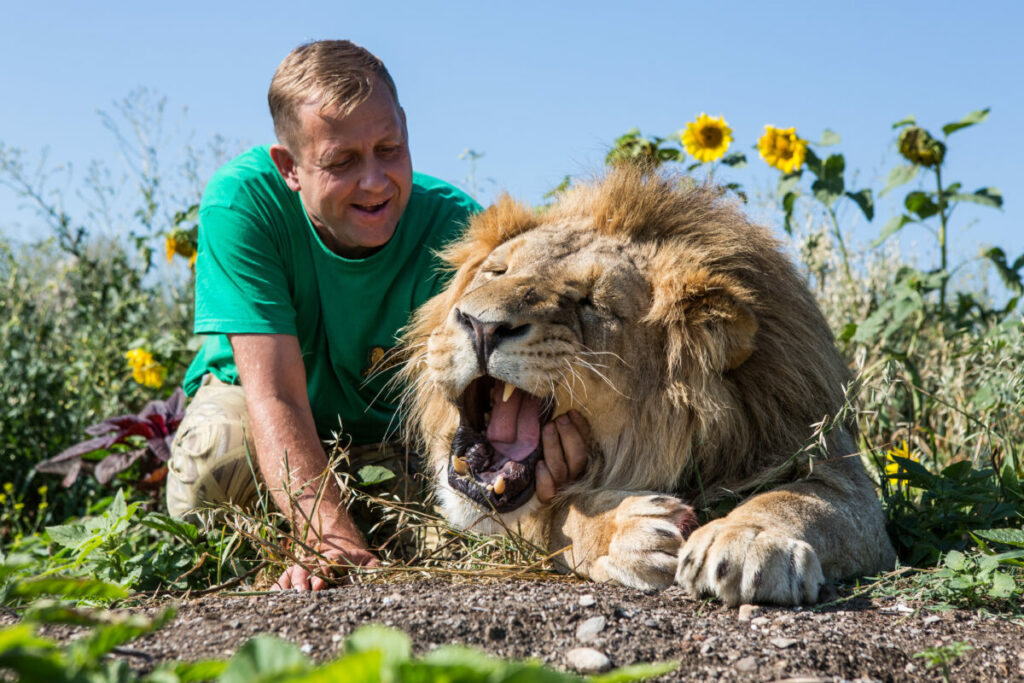 Old man with a Taigan Safari Park's Lion