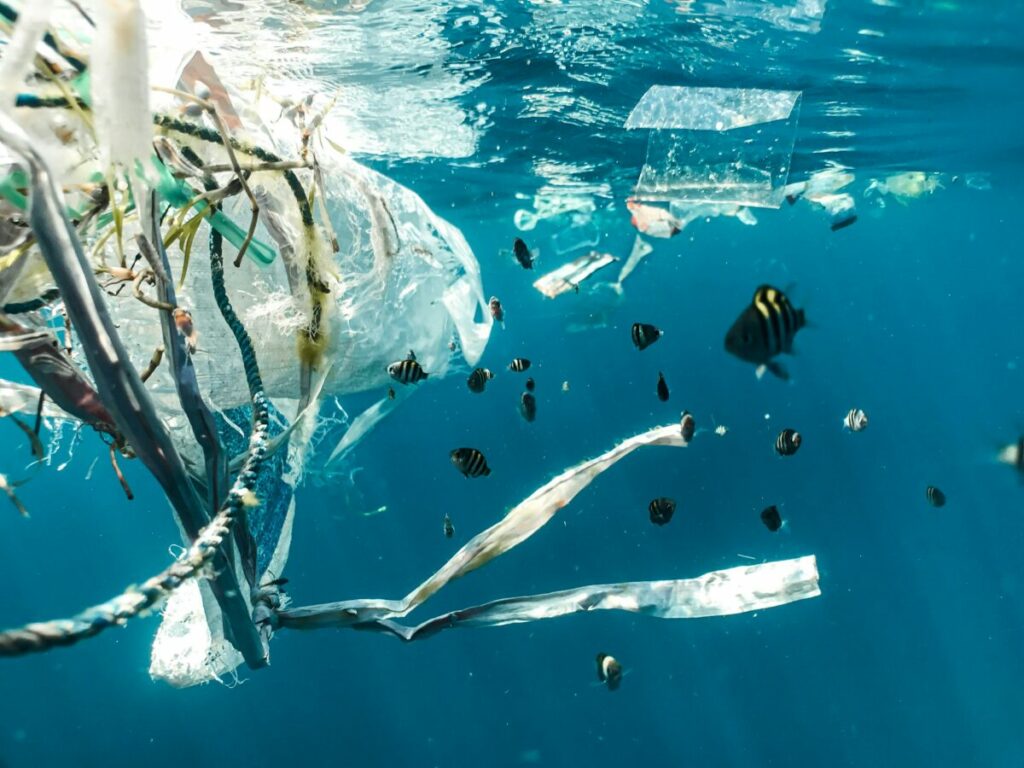 Garbage and plastics on the ocean