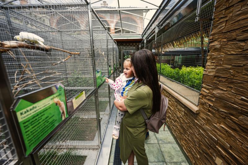 Mother baby checking waterdragon cages
