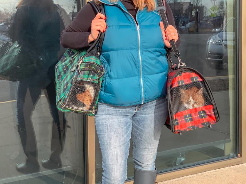 Woman with small pet carrier bags