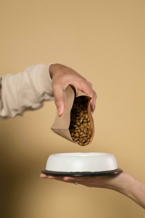 Pouring dog food on dog bowl