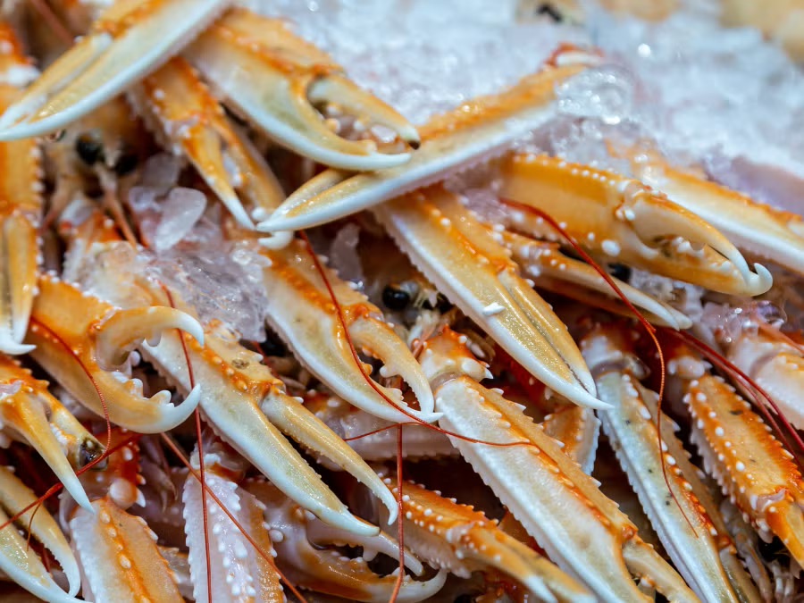 Scampi Scam UK Retailers Exposed for Environmental Impact Deceptions: Five-Year Initiative Falters