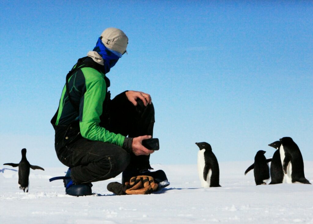 Man with Adélie Penguins in  McMurdo Sound, Antarctica