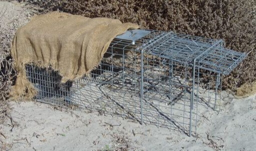 Animal Cage Trap