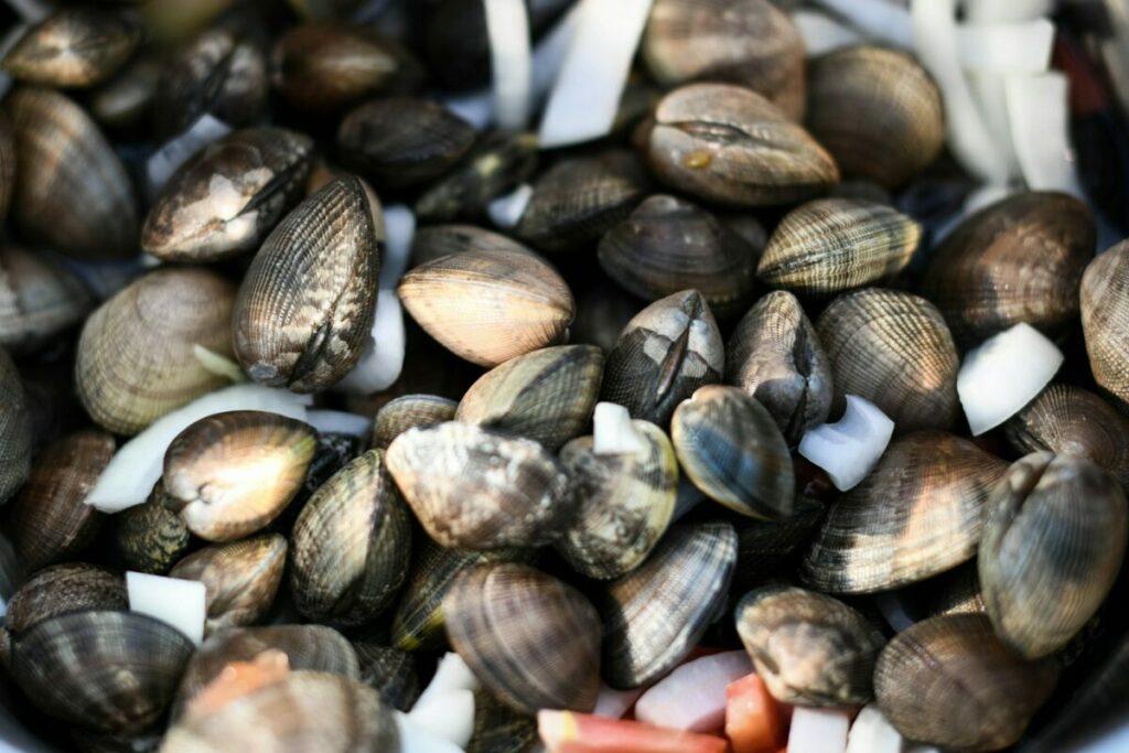 Lots of clams with onions and tomatoes