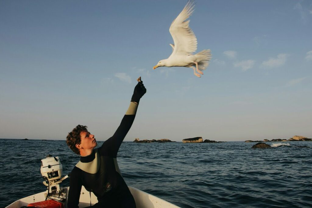 Man feeding a seagull with human food