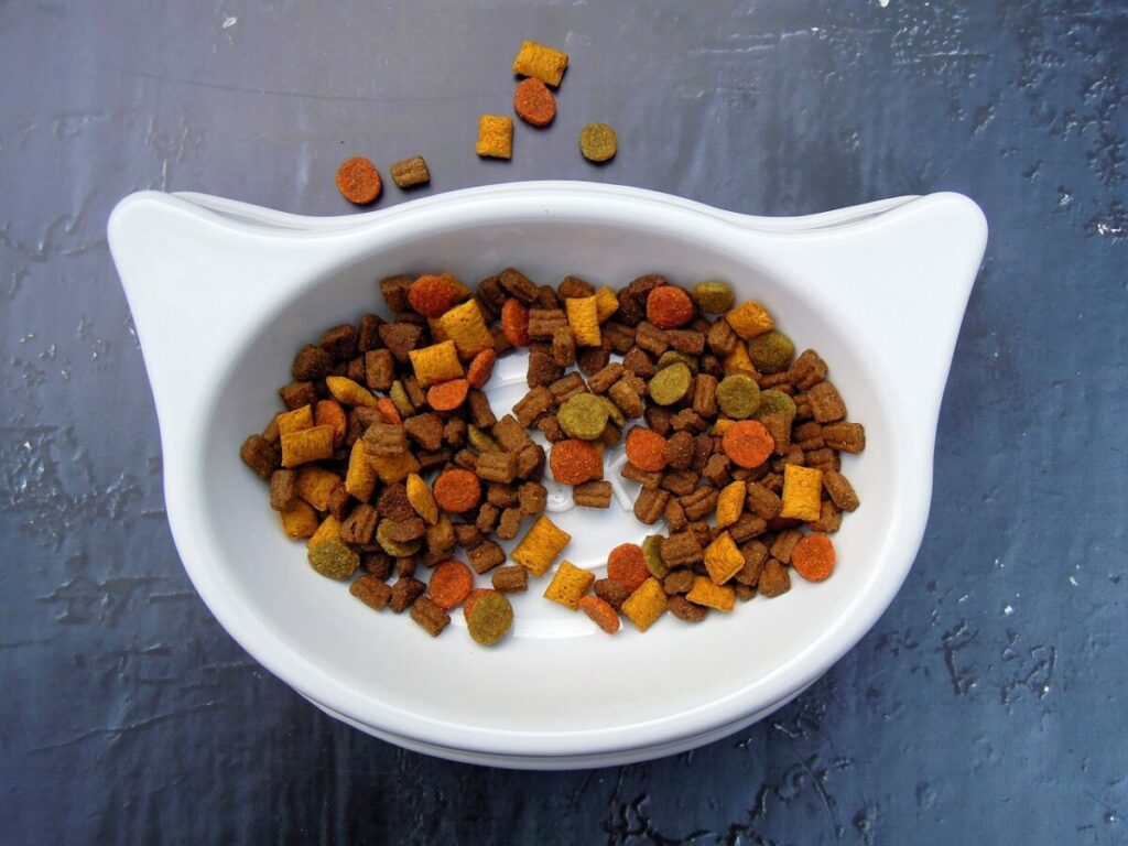 Pet food on a cat food bowl
